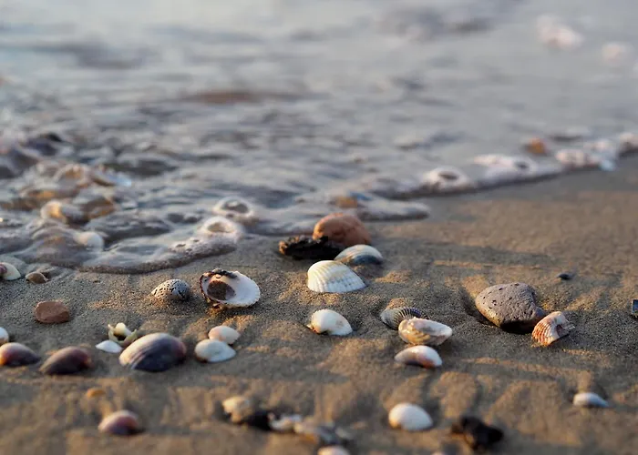 Cozy Flat With Private Garden 公寓 比比翁